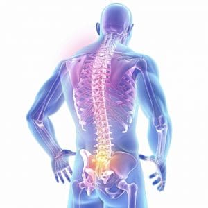 Ilustração anatômica da coluna vertebral humana vista de costas